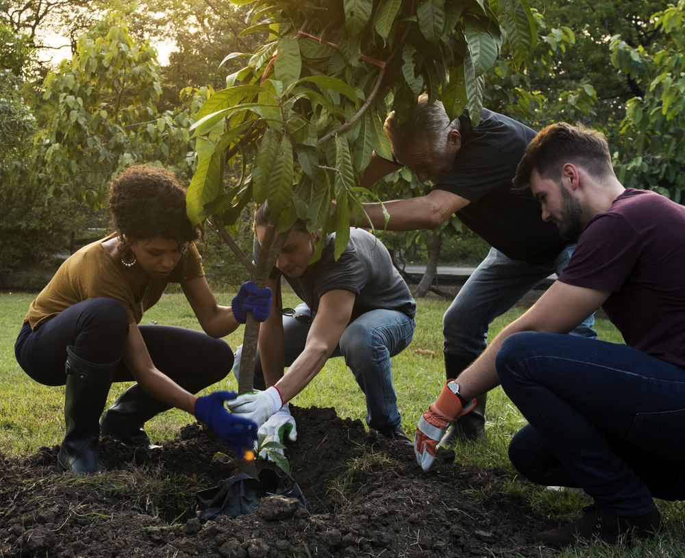 comparison 3 shutterstock_644077957